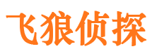 琼海市婚外情调查